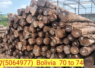 Teak Wood Wholesalers in Chennai